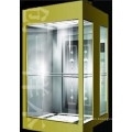 Fjzy-High Quality and Safety Home Lift Fjs-1616